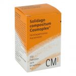 Solidago compositum Heel таблетки (250 шт.)