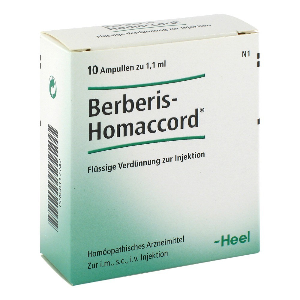 Berberis Homaccord  -  4