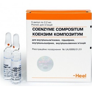 Coenzyme Compositum Ampullen  -  6