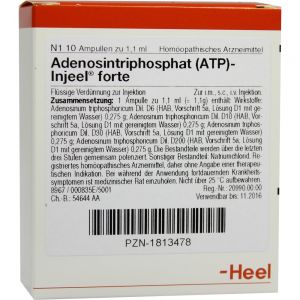 /published/publicdata/ALFAMEDMAIN/attachments/SC/products_pictures/Adenosintriphosphat-%28ATP%29-Injeel-forte-Ampullen_enl.jpg