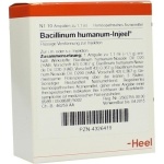 Bacillinum humanum Injeel Ampullen