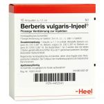 Berberis vulgaris Injeel Ampullen